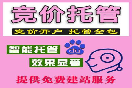 SEM托管服务实操案例：打造企业品牌知名度